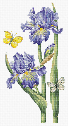 Gold Collection - May Iris